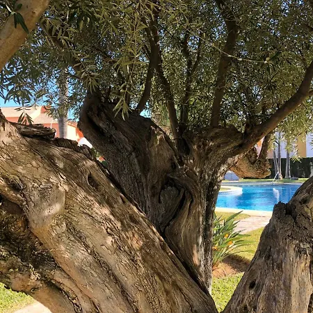 Hort 1-serviden Dénia